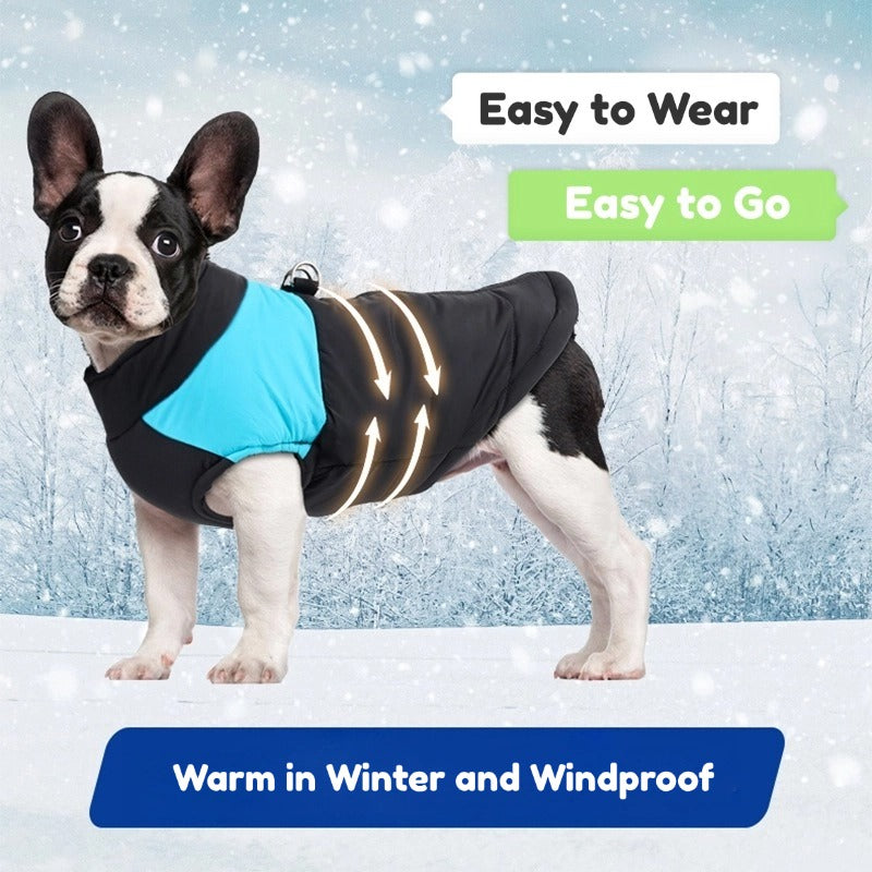 Autumn and Winter Pet Clothes (Blue)