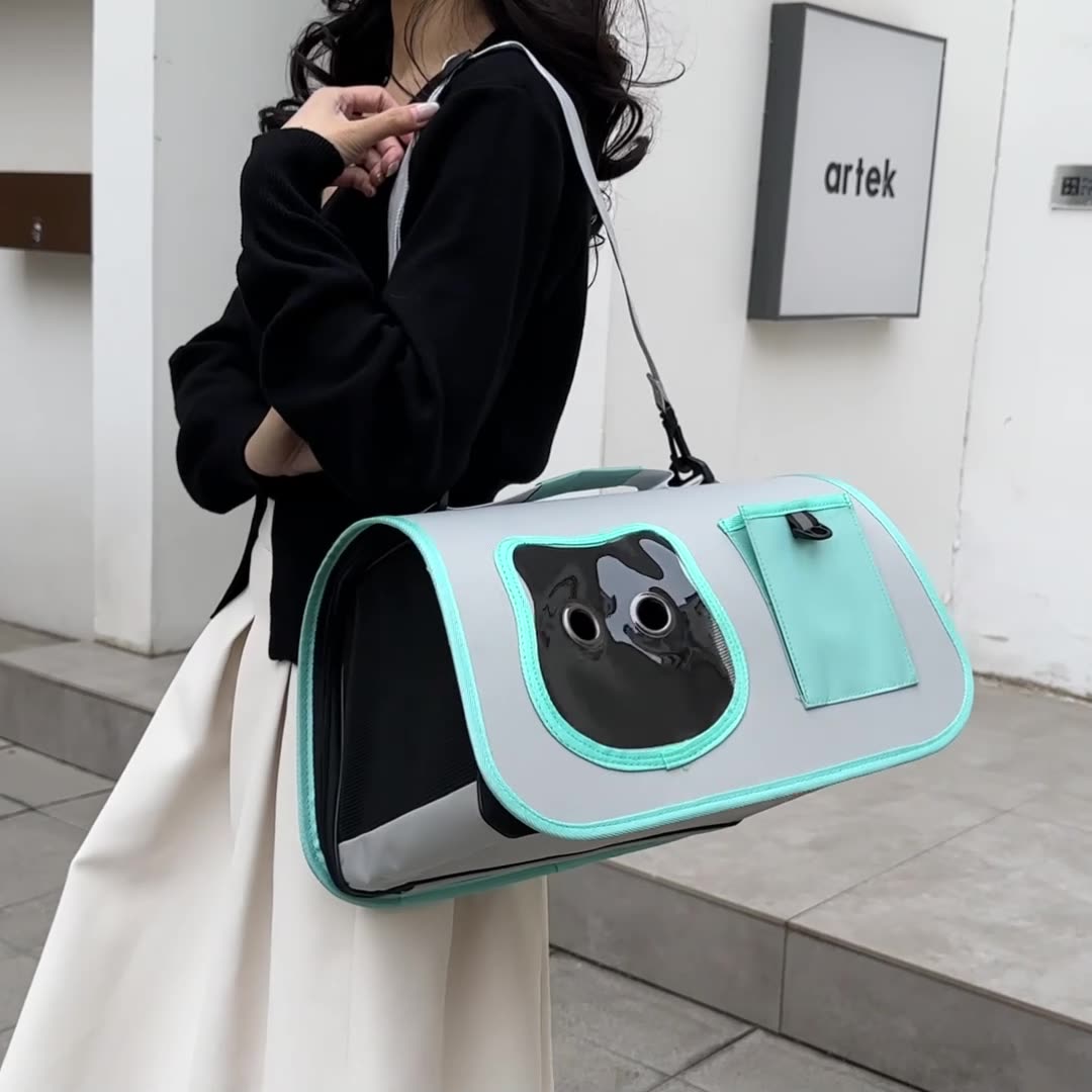 Fashionable and Portable Cat Bag